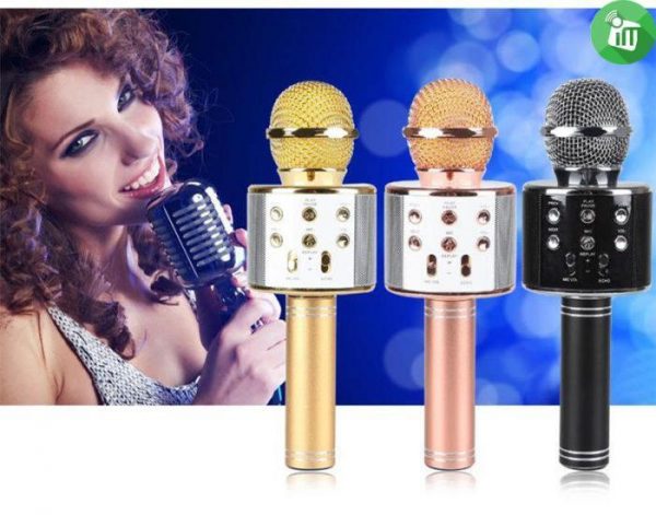 Karaoke Wireless Microphone Hifi Speaker