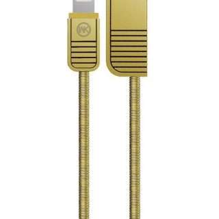 WK LION micro data cable